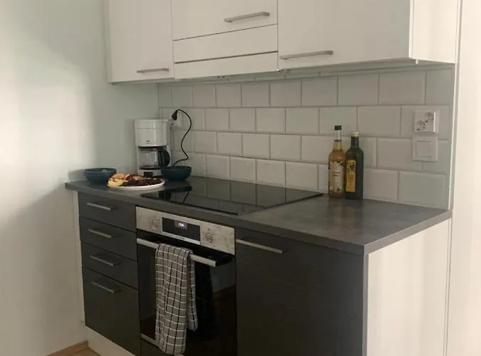 Modern One Bedroom Nearby Airport Apartment *